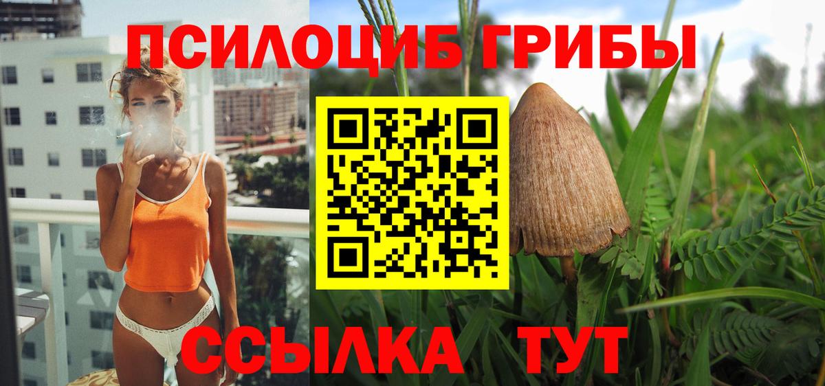 Лосино-Петровский  где можно купить   Вход с VPN  Псилоцибиновые грибы GOLDEN TEACHER 