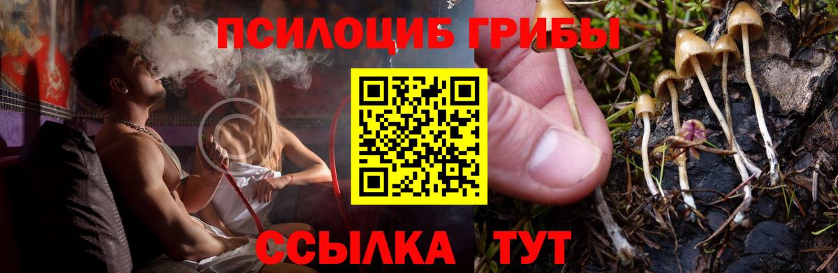 MDMA Лосино-Петровский